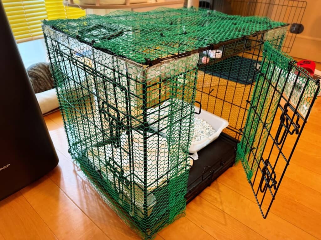 現在の脱走対策