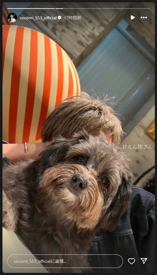 CocomiのInstagramに登場した木村拓哉