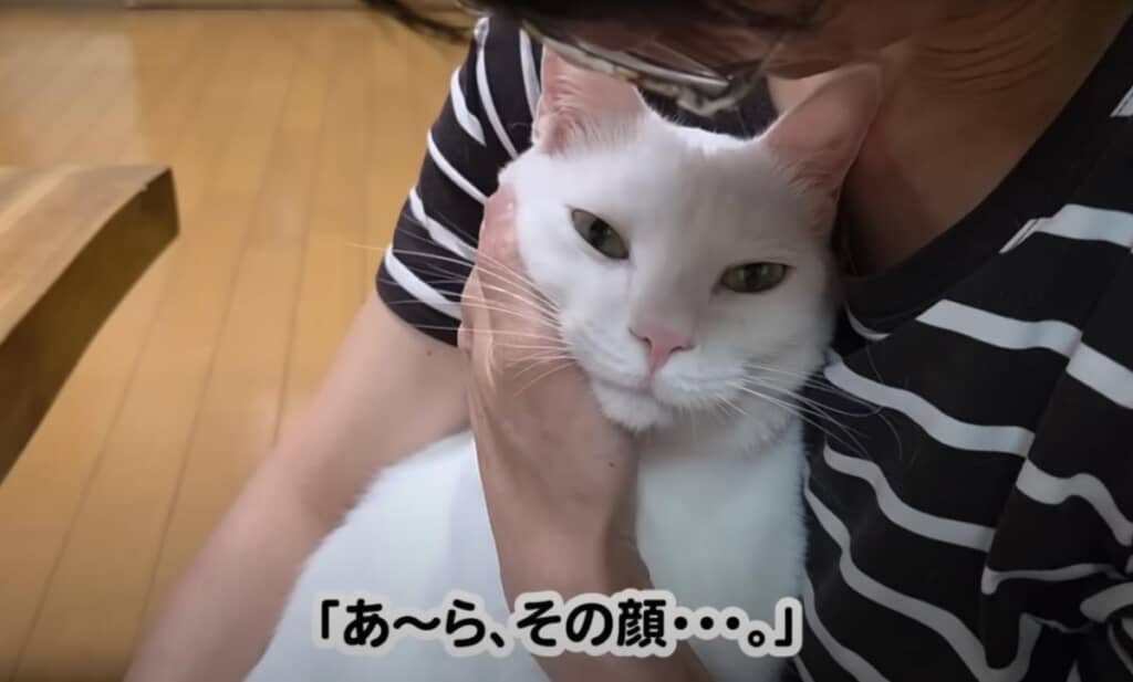 ママさんにべったりなシロちゃん