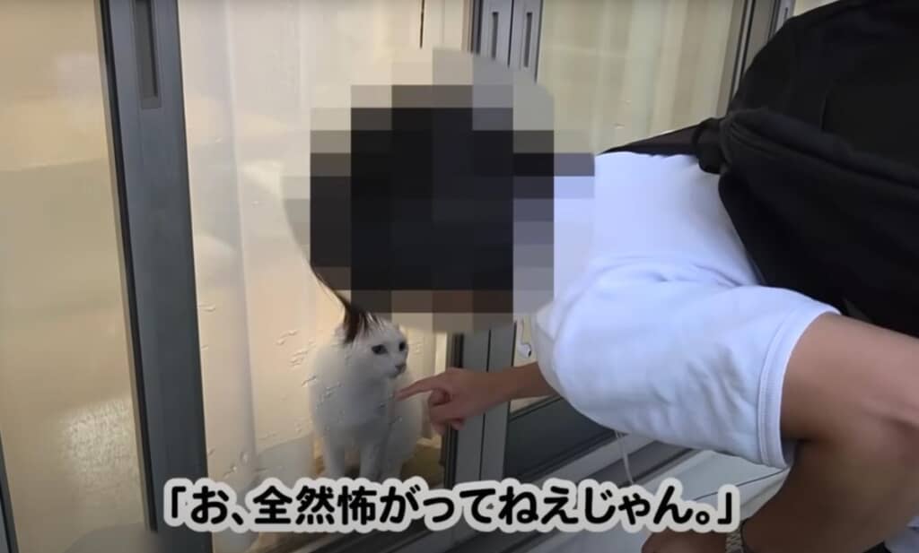 シロちゃんはお兄ちゃんを覚えているようです