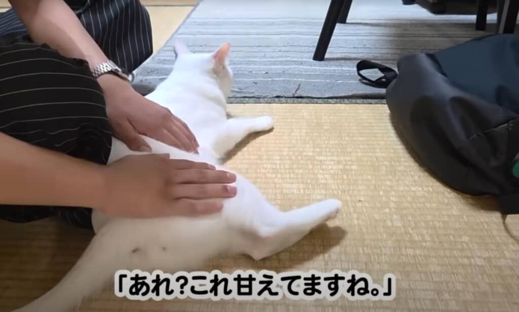 おしりをくっつけて甘えています