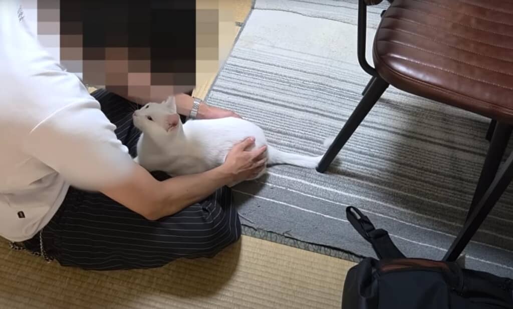 見つめ合う様子が尊い