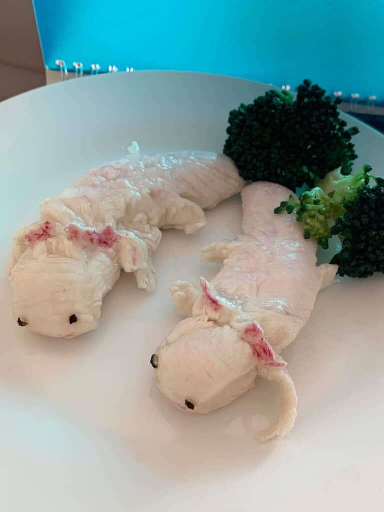 ウーパールーパー風でした