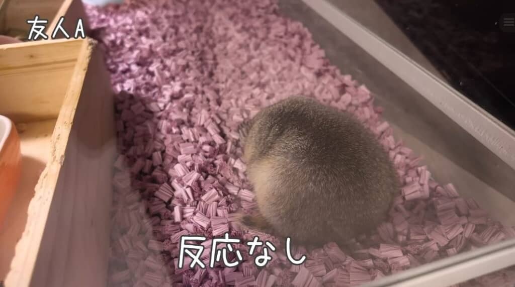 友人Aのボイスメッセージでは反応なし