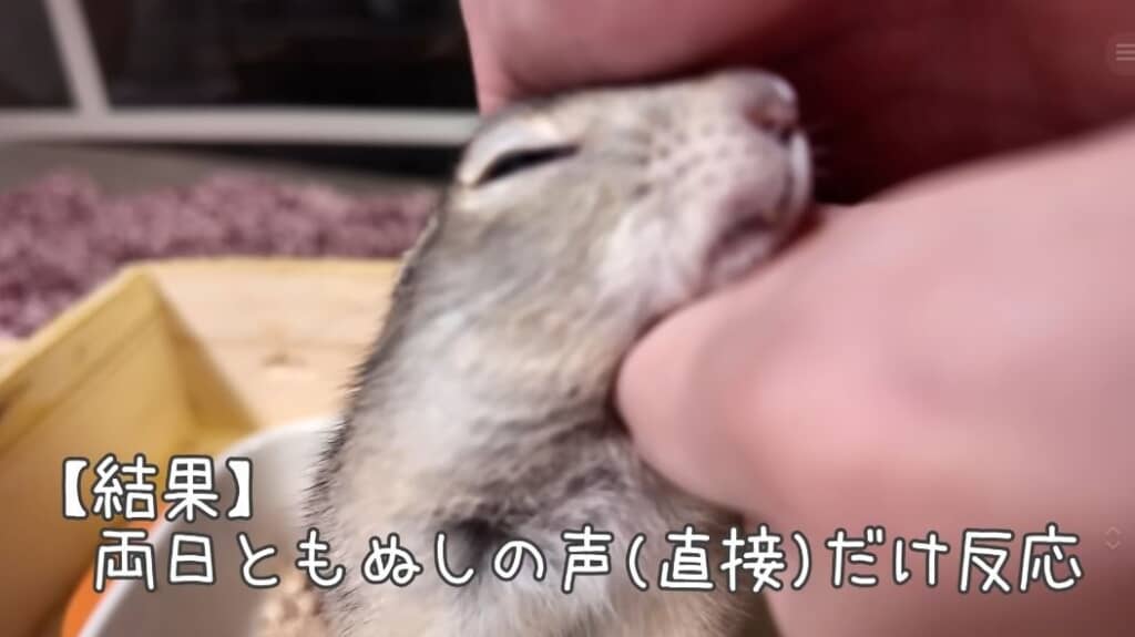 2日ともぬしさんの声だけに反応しました