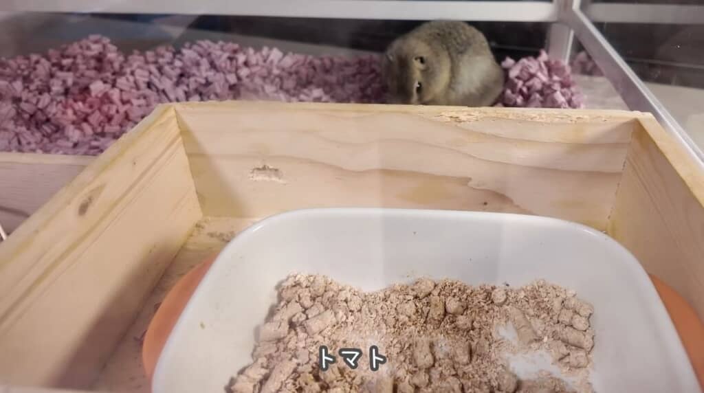 「トマト」には反応しない