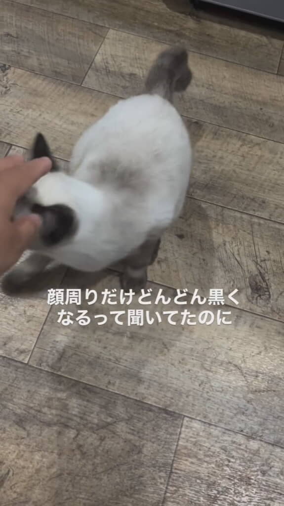 顔周りだけ黒くなると聞いていたけど……