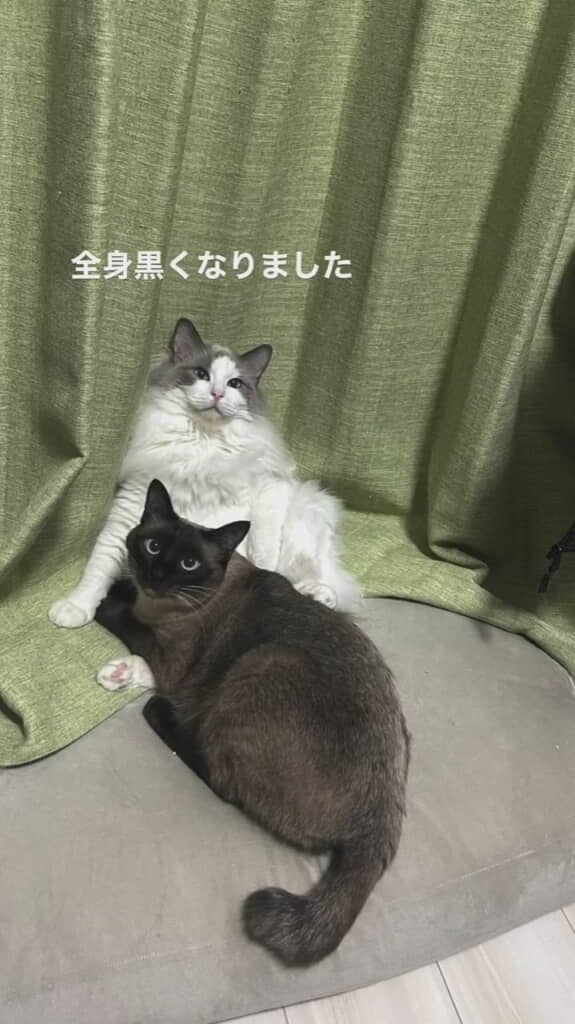 全身染まりました！