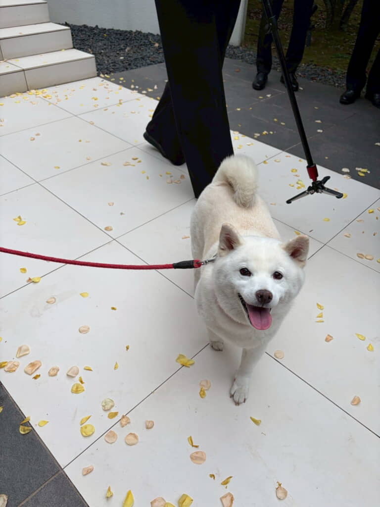 ニコニコ笑顔です
