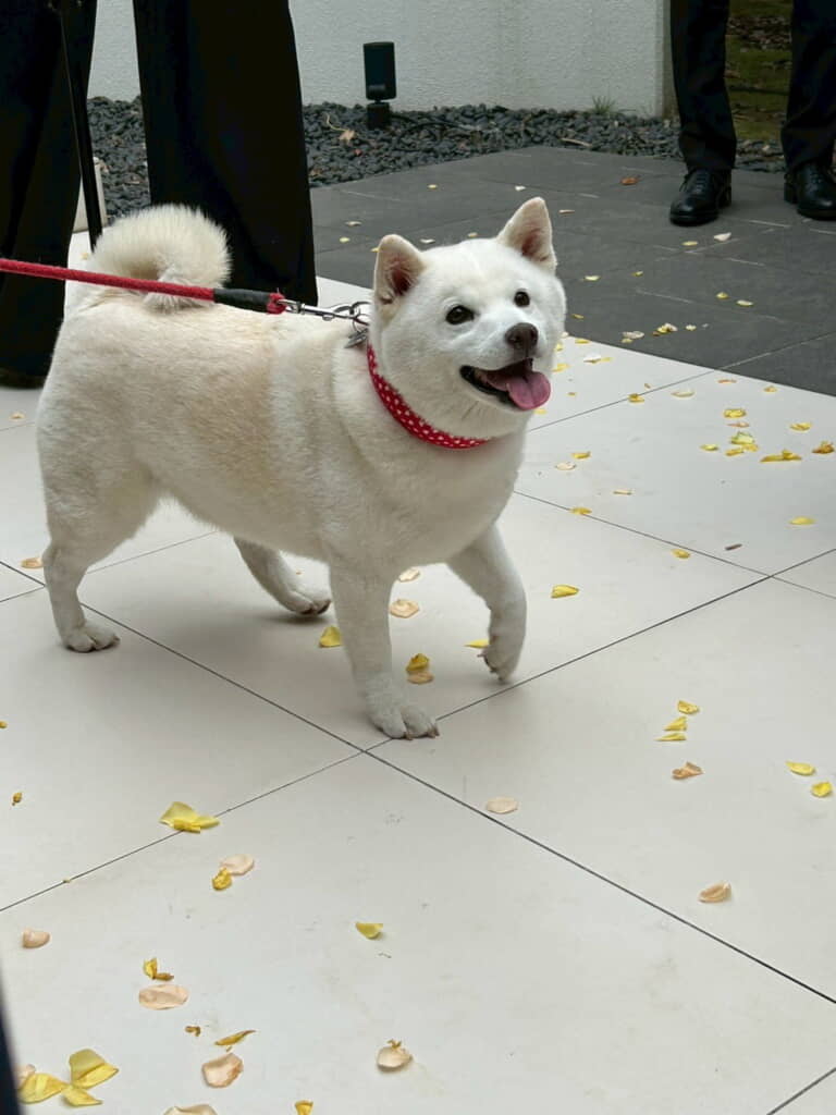 本当にうれしそう