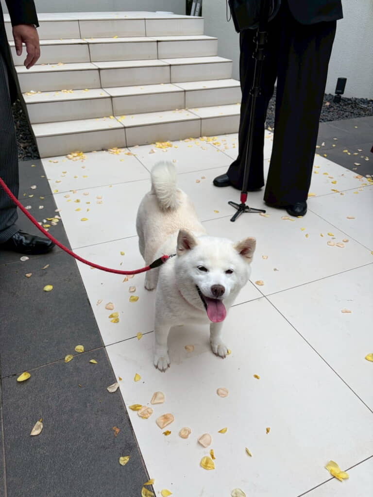 幸せな気持ちになるほほ笑み