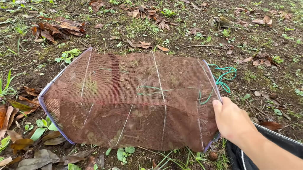 お魚キラーと呼ばれる網かごを使います