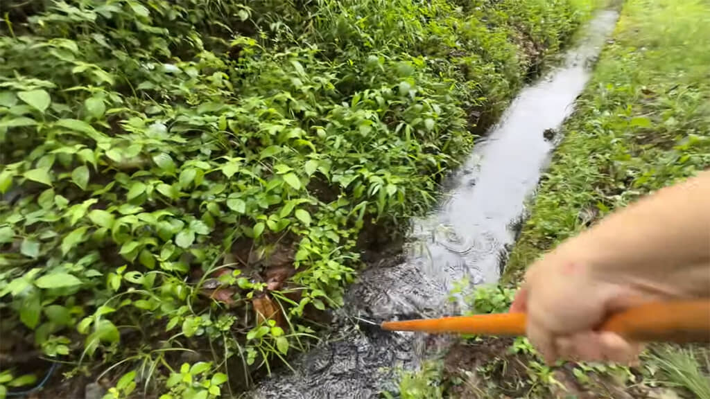 お魚キラーに向かって生き物を追い込みます