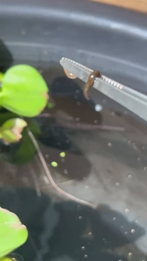 無事に外へ逃がせました！