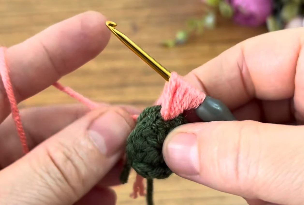 かぎ針でピンクと緑の毛糸をモリモリ編みつなぐと……「うわぁぁぁぁ」　ボリューム満点な“便利グッズ”に反響【海外】（1/3） | ライフスタイル ねとらぼ