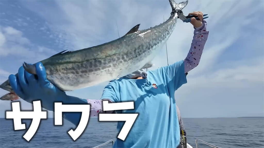 立派なサワラを釣り上げました！