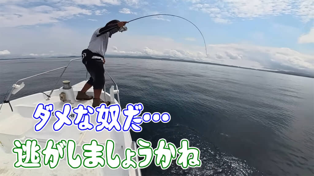 かかったのは小さなクロマグロでした、即座にリリースします