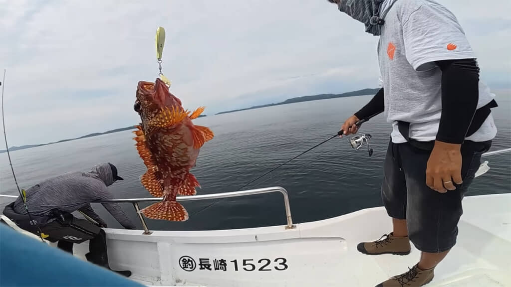カサゴも釣れました、すごい！