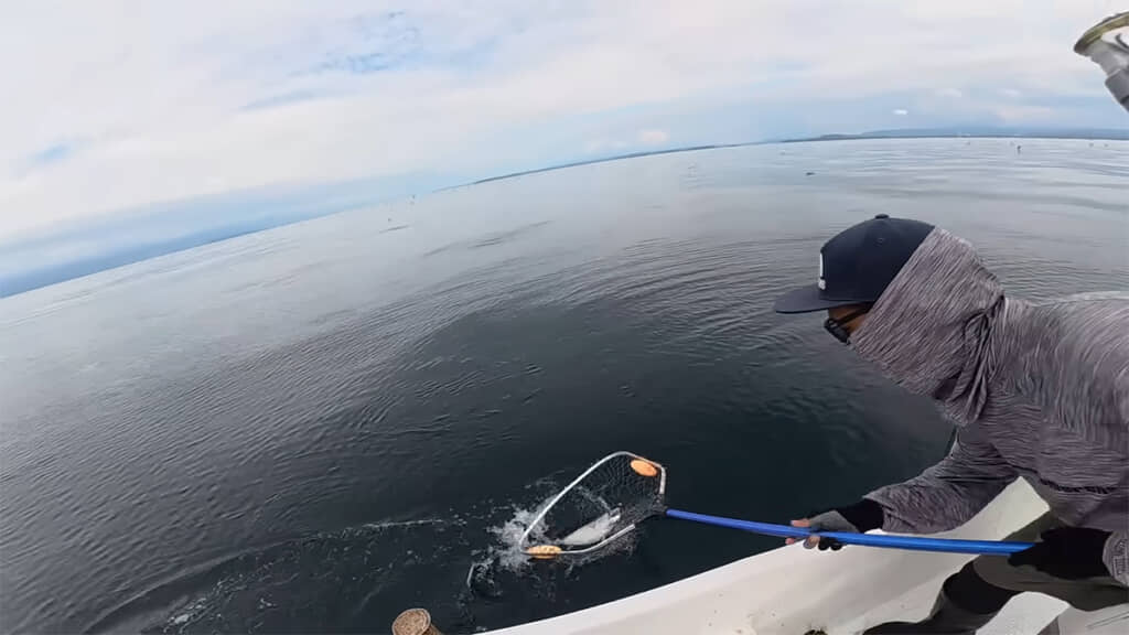 スンさんもハガツオをゲット！