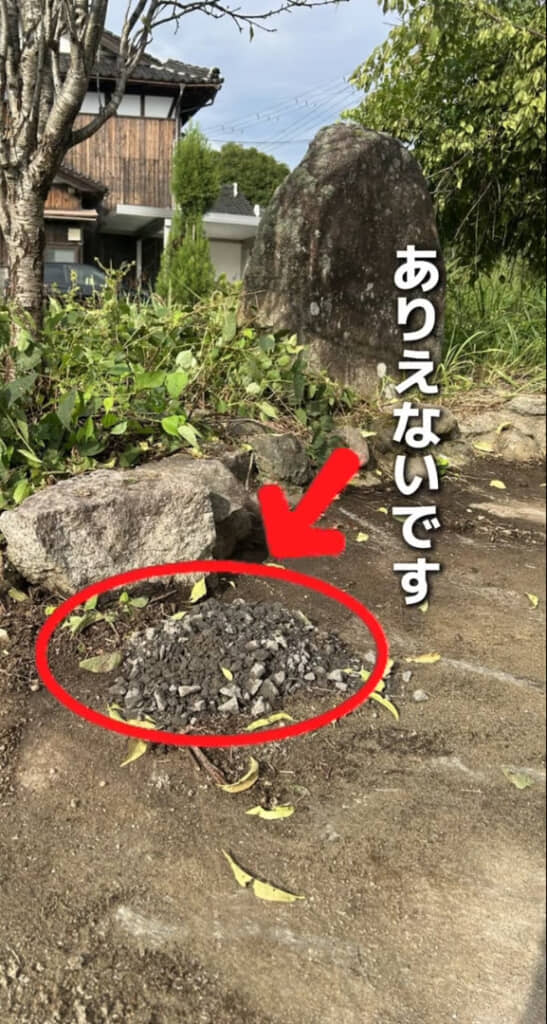 庭がきれいになった翌朝に謎の盛り土が出現