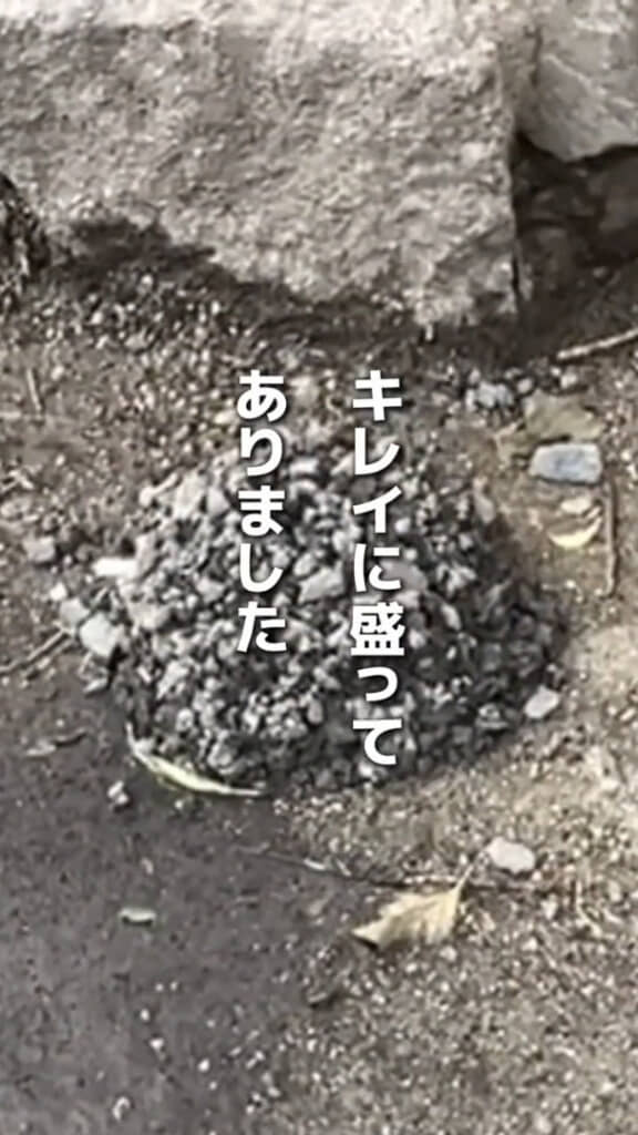きれいに盛られた土