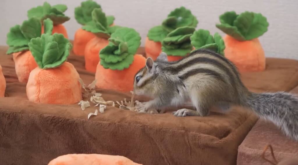 ナイナイしてくれた！