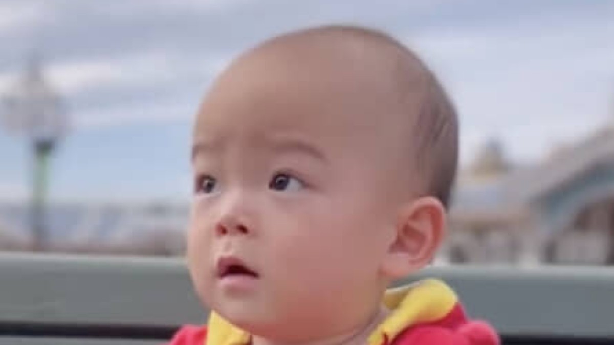 1歳息子とディズニー仮装→選んだテーマは……「これはメロっちゃうわ」 22万再生の“まさかの仮装”に「天才すぎ」「本家よりモテモテ」(1/2) | ライフスタイル ねとらぼ