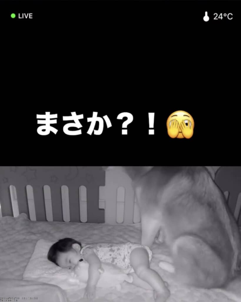 やって来たのは……