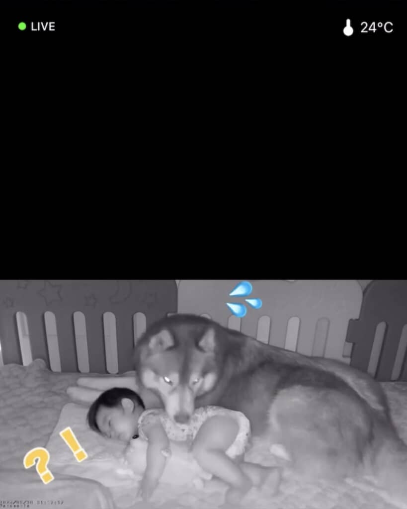 一瞬、起こしそうになってしまうヒヤヒヤな場面も