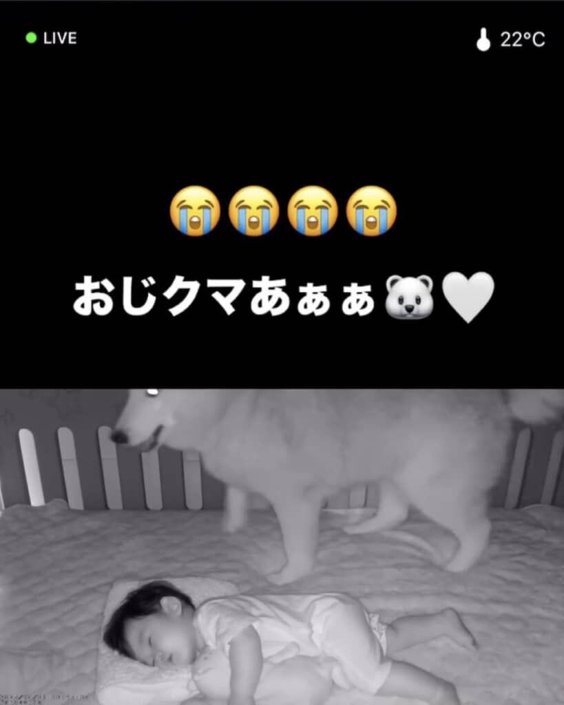 おじクマくん！