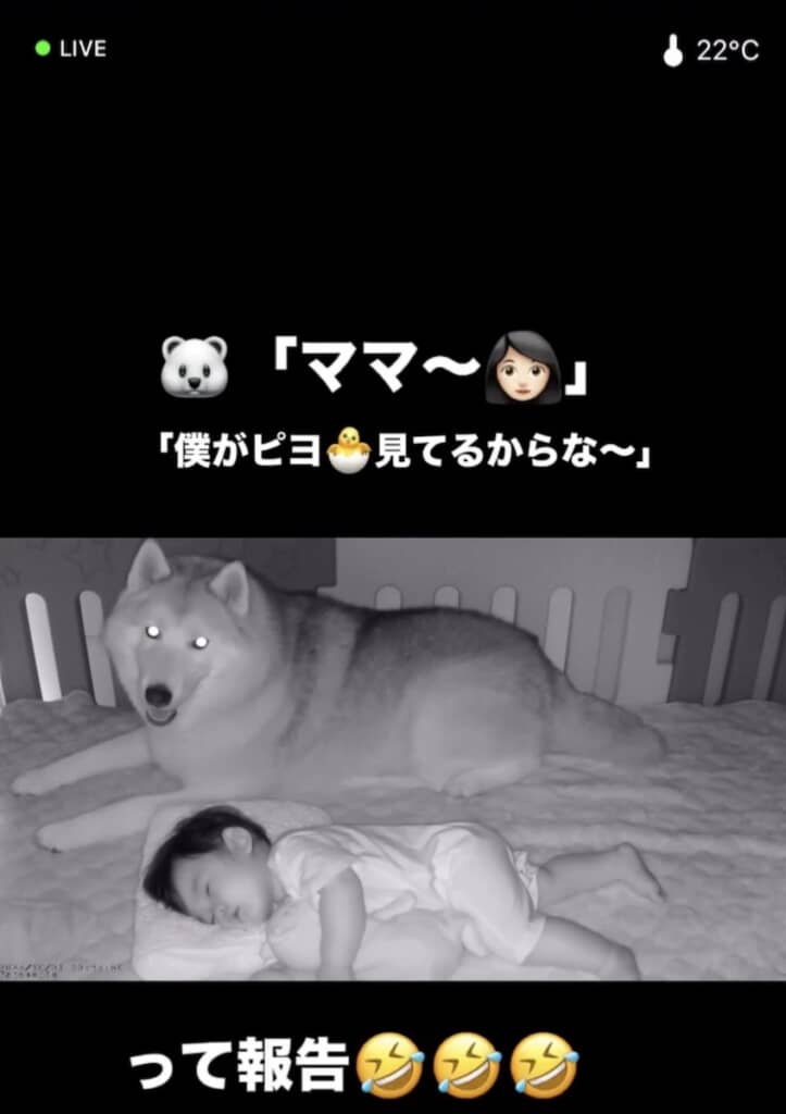 カメラ越しにママにアイコンタクト！