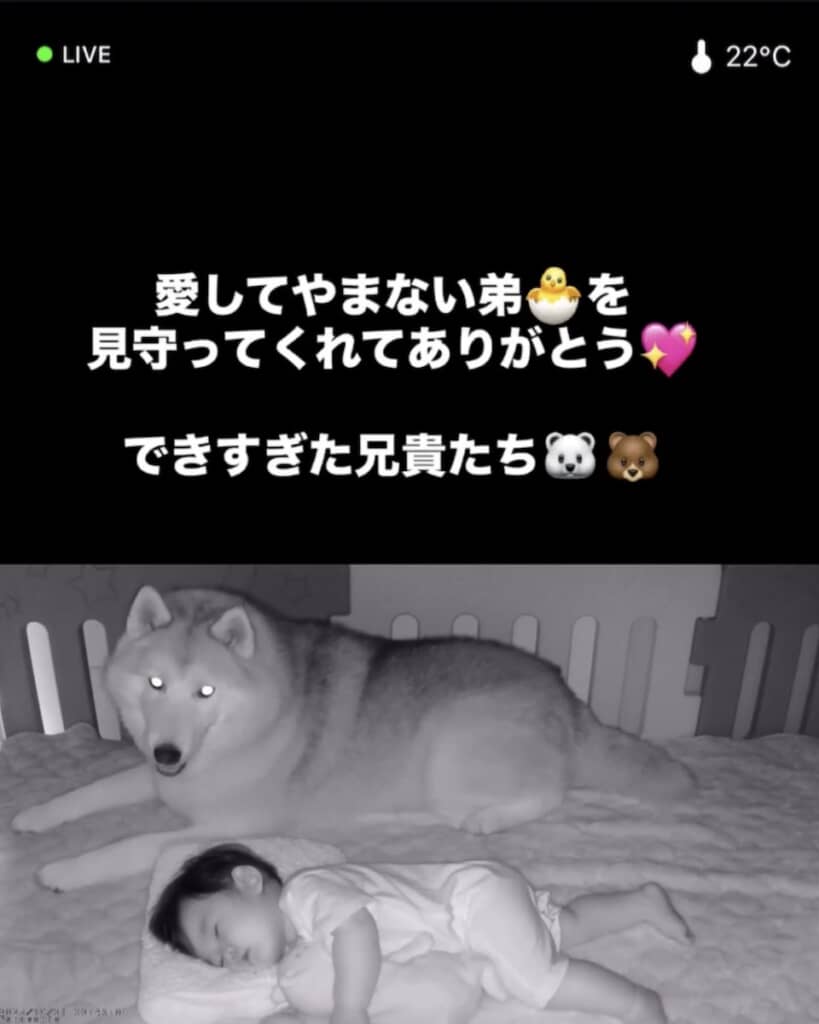 頼れるお兄ちゃんたちに、ママも感謝