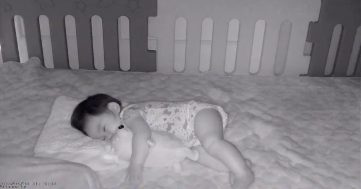 家事をするママ→カメラ越しに“生後8カ月赤ちゃん”を見守っていたら……「なんて優しい世界なんや」　まさかの光景が850万再生（1/2） | 犬 ねとらぼ