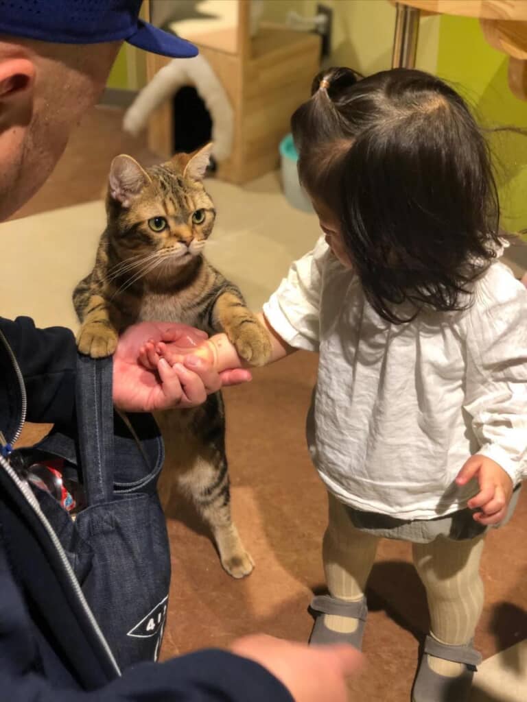 猫に呼び止められる娘