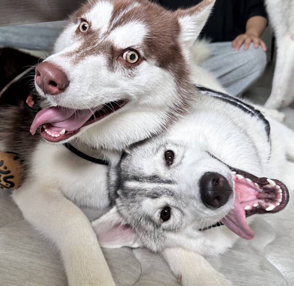 ぶなちゃんとも仲良し