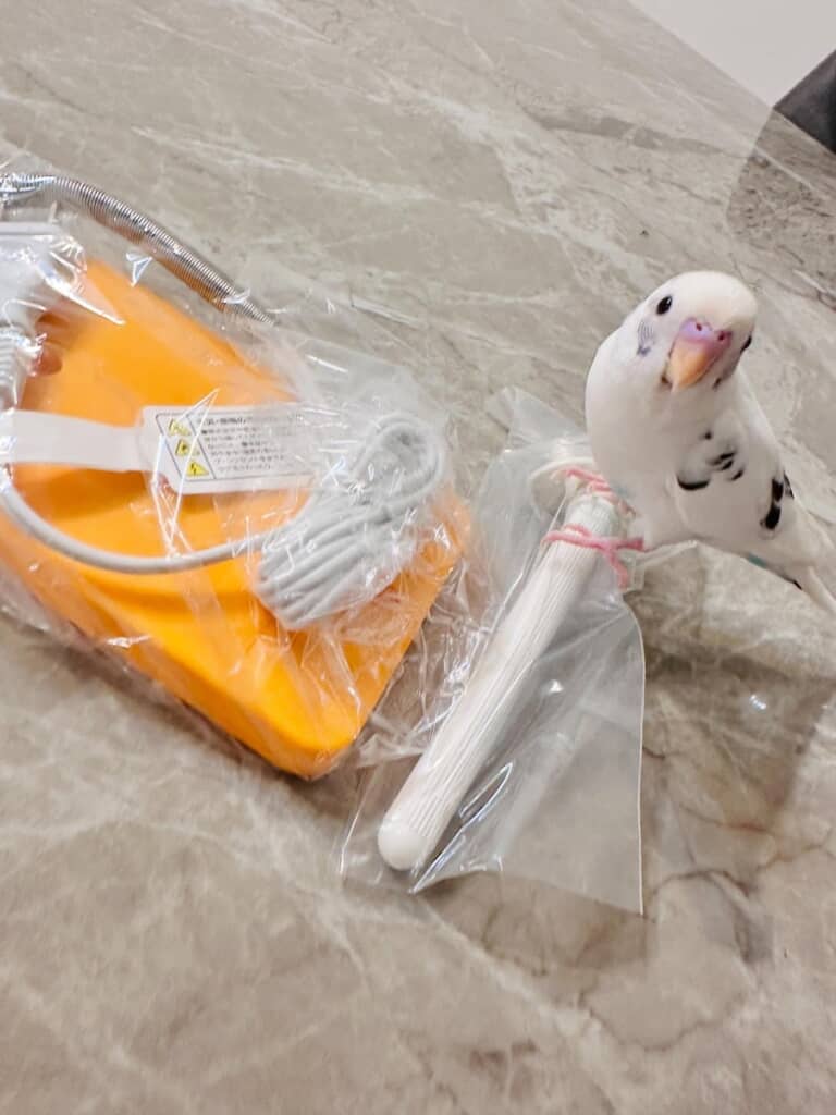 使う前からヒーターを気に入ったようです