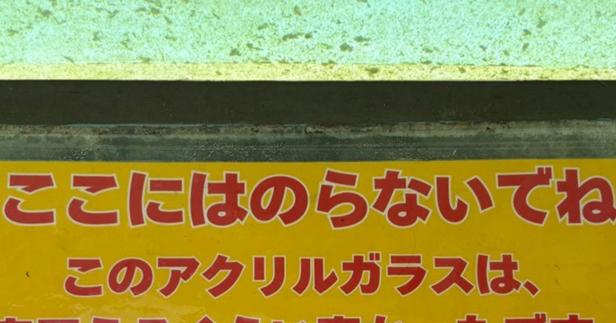 水族館の子ども向け注意書き→下を見ると……「オモローww」　恐ろしすぎる“まさかのアピール”が56万表示「生々しいw」「怖い怖い」（1/2） | ライフスタイル ねとらぼ