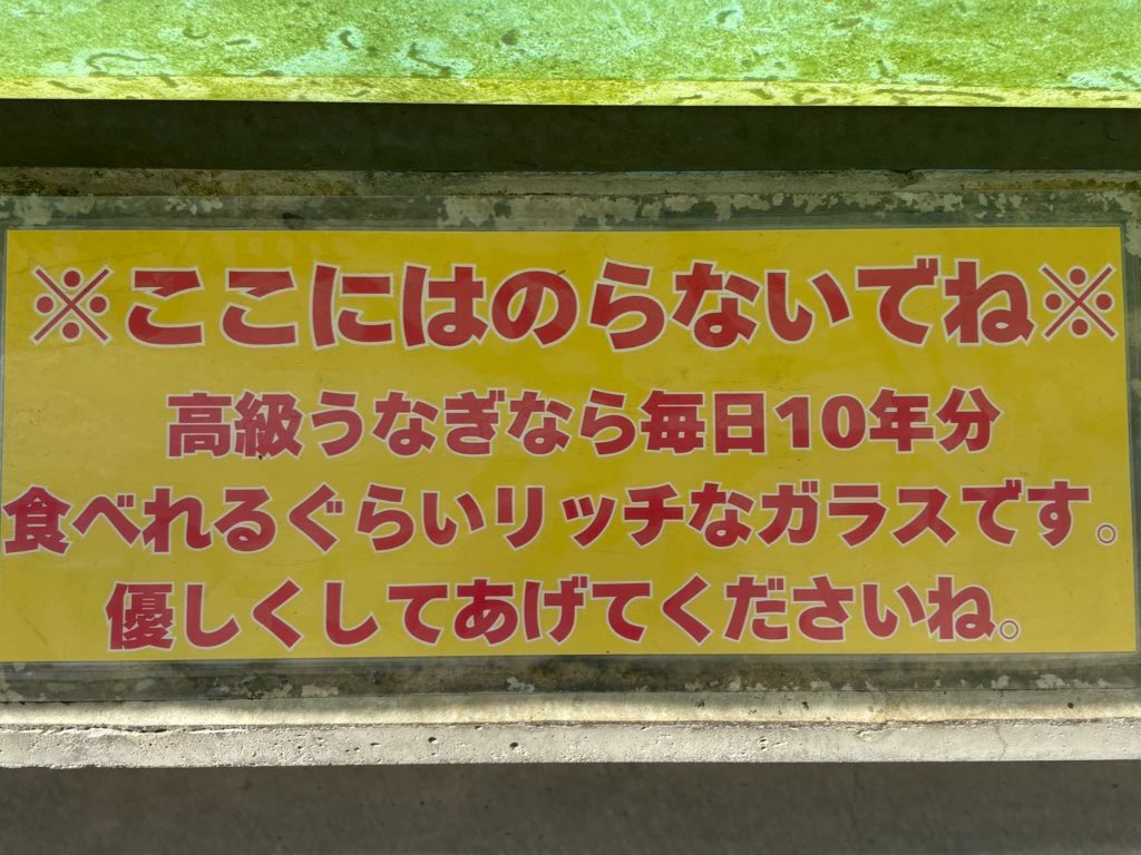 高級うなぎ10年分!?