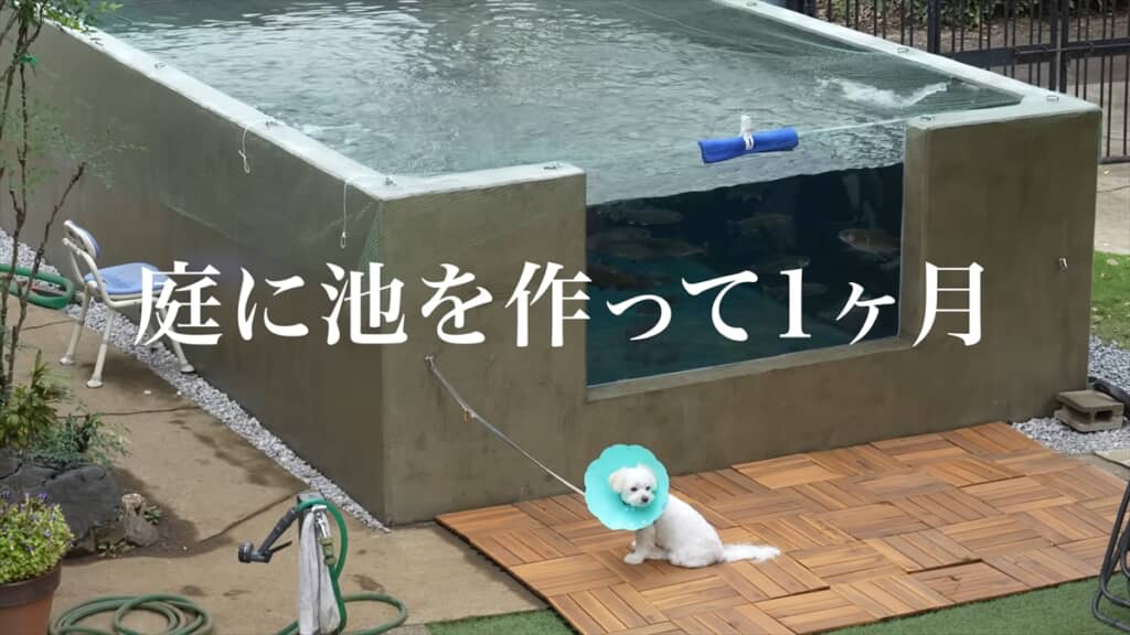 自宅の庭に作った水族館みたいな池