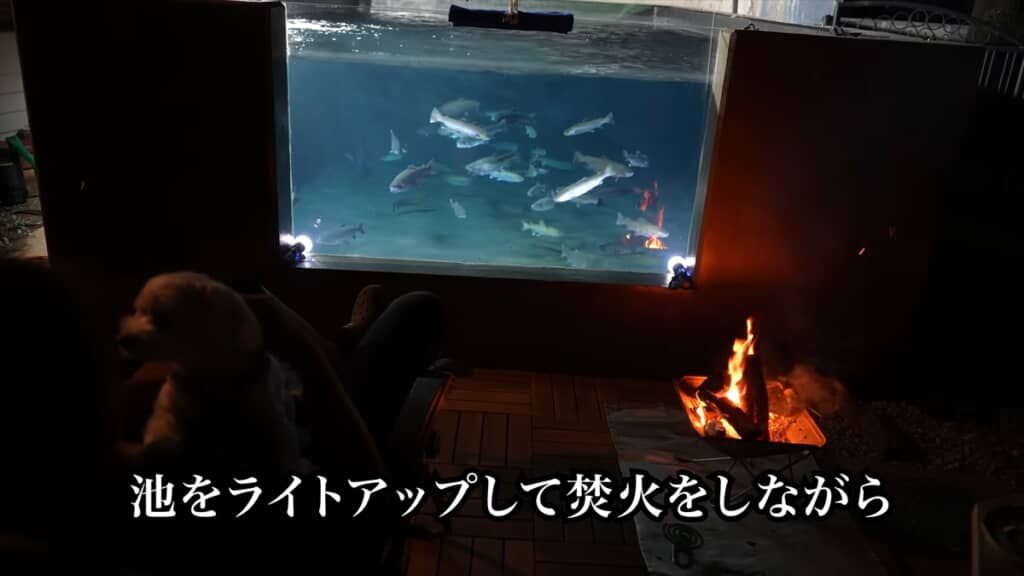 自宅の庭に作った水族館みたいな池