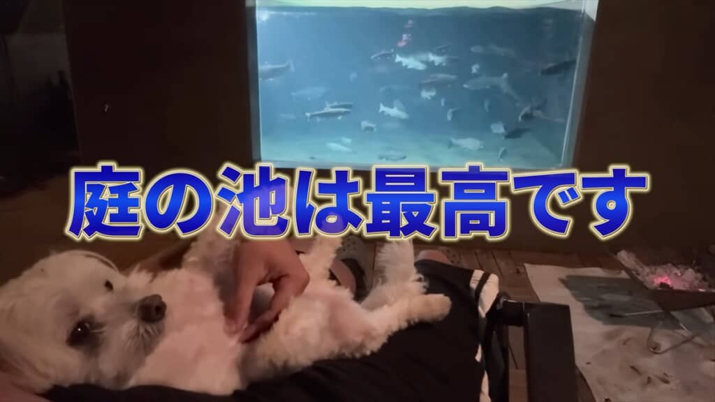 自宅の庭に作った水族館みたいな池