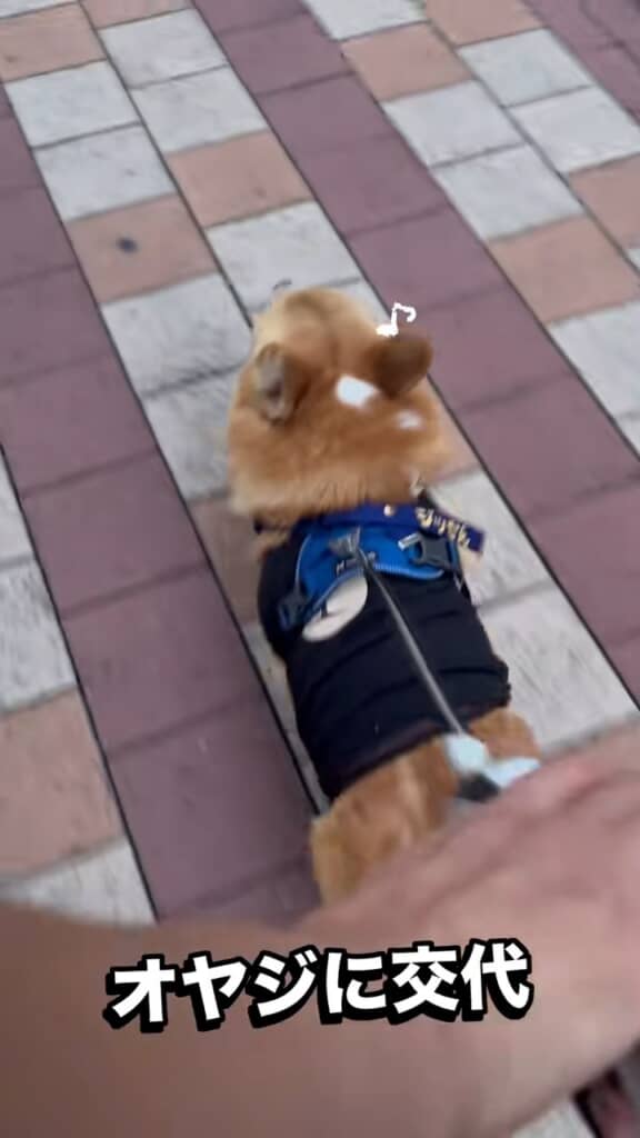 リードをお父さんと交代