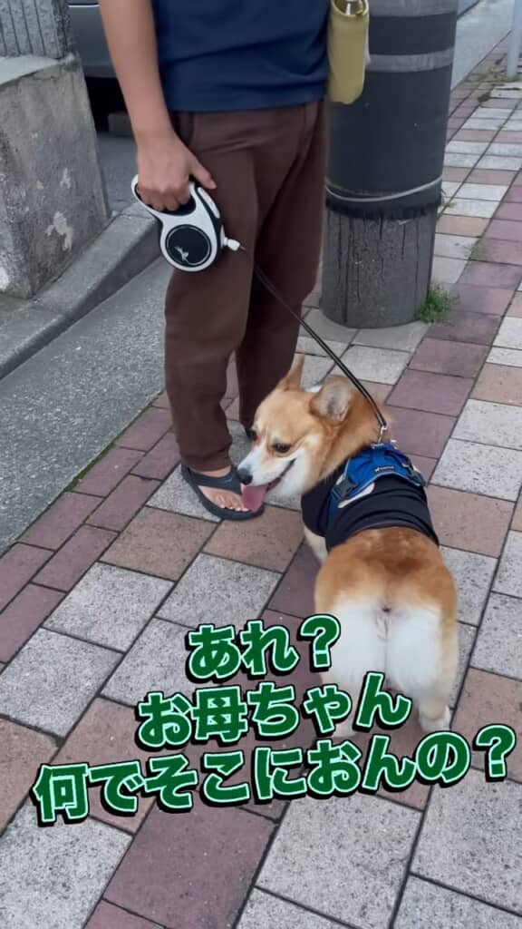 お母さんが後ろにいる！　……ということは？