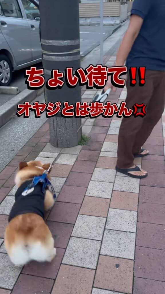 お母さんじゃなきゃヤダーッ！