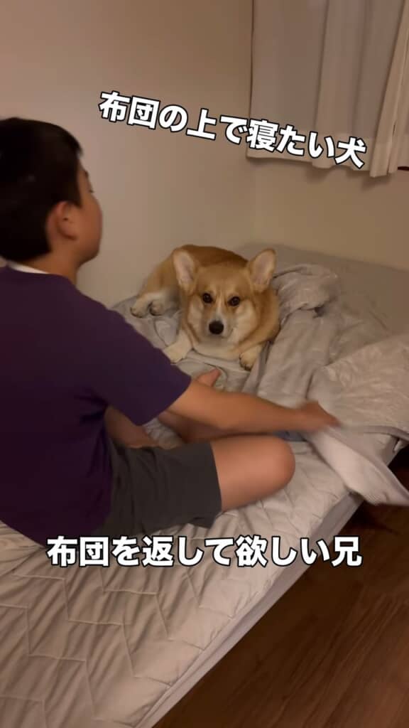 お兄ちゃんとの寝床争い