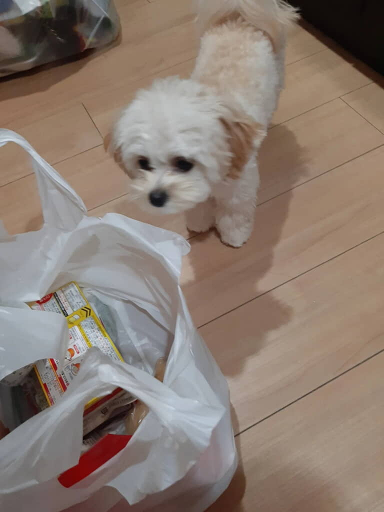 買物の中身が気になります