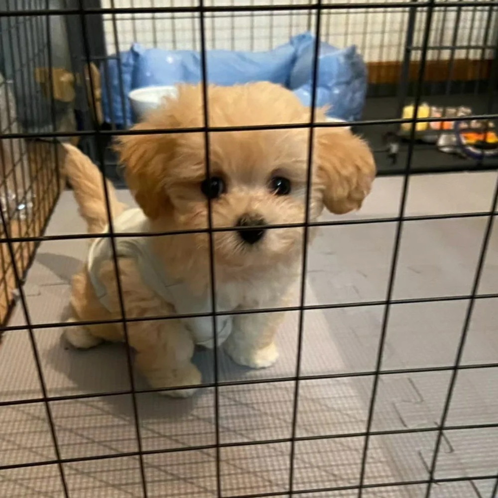 いつも目が合うよね