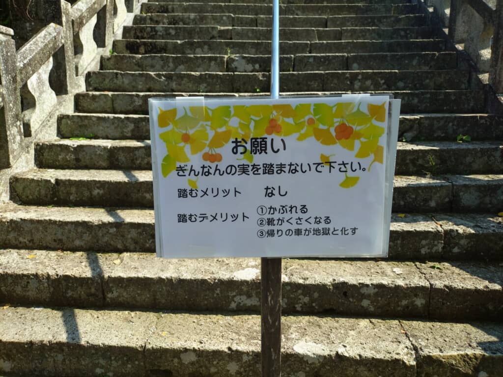 石段の前に設置された「ぎんなんの実を踏まないで下さい」と注意喚起する看板
