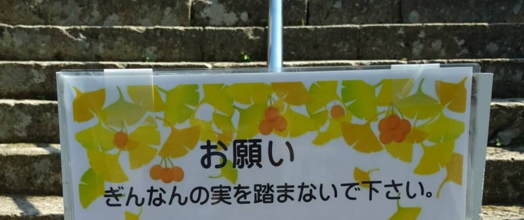 イチョウの葉と実が描かれた看板に「ぎんなんの実を踏まないで下さい」と書かれているアップ