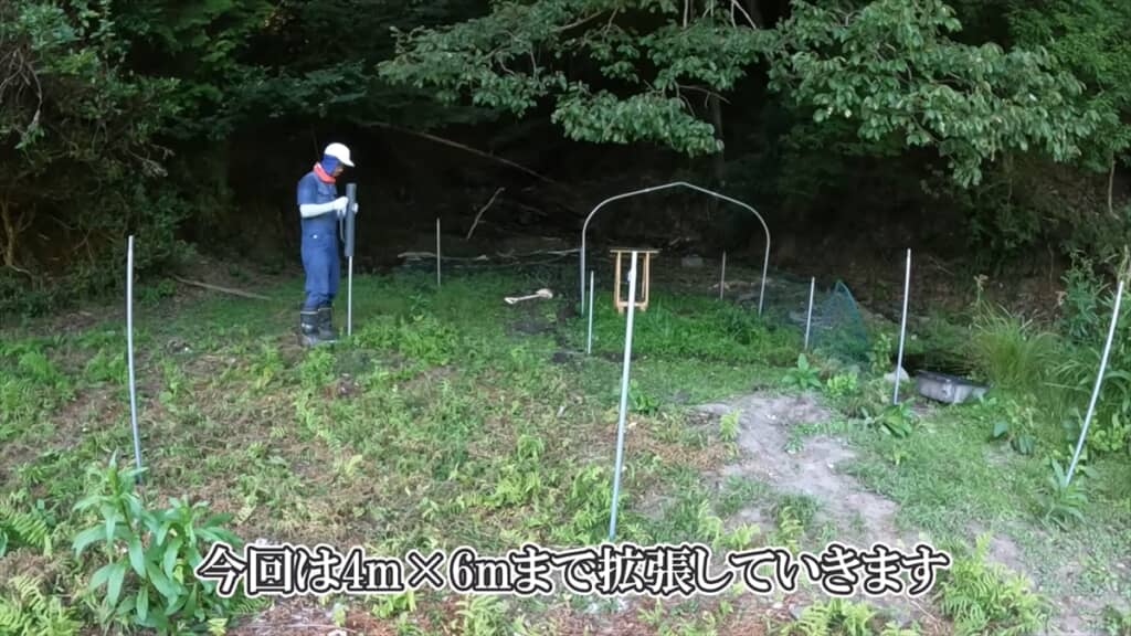 自宅にカエル牧場を作った結果